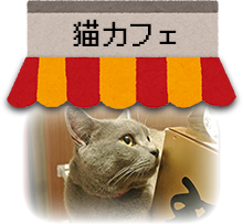 猫カフェNyanny秋葉原